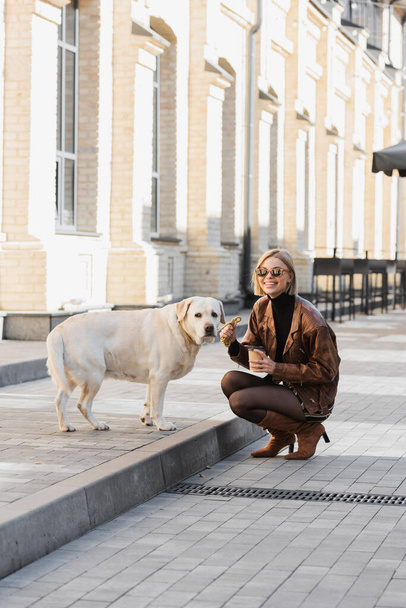 full length of cheerful woman in trendy sunglasses smiling and holding coffee to go while sitting near labrador  - Foto, Bild