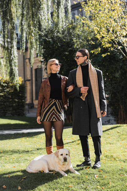 full length of cheerful couple in sunglasses walking with labrador in park  - Foto, Imagen