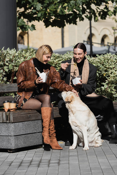 cheerful young couple eating takeaway asian food while sitting on bench near labrador dog - Photo, image