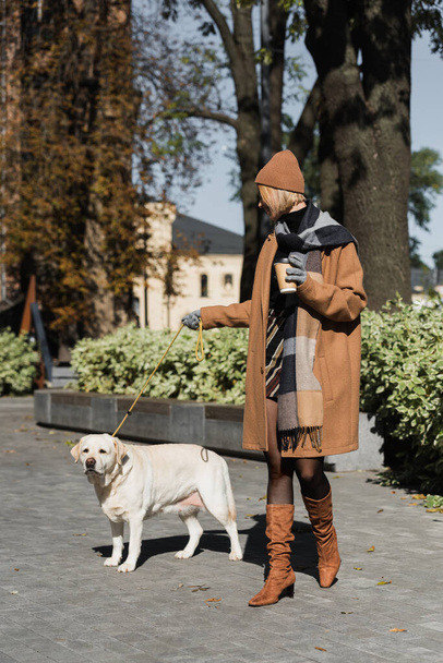 full length of blonde woman in hat and coat holding paper cup while walking with labrador  - Φωτογραφία, εικόνα