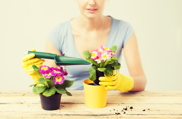 housewife with flower in pot and gardening set - Fotó, kép