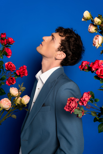 Side view of stylish brunette man in jacket and shirt standing near roses on blue background  - Valokuva, kuva