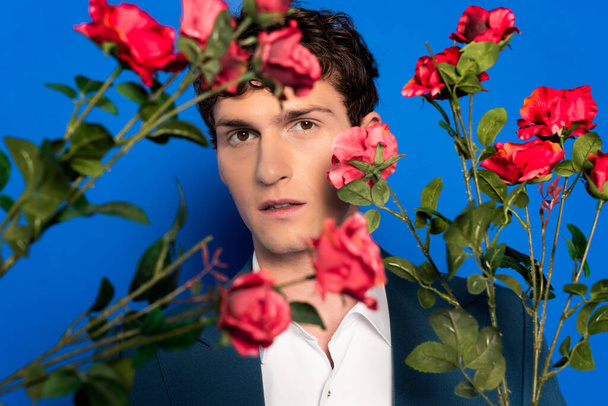 Junger Mann in Jacke blickt in die Kamera in der Nähe verschwommener Rosenblüten auf blauem Hintergrund  - Foto, Bild