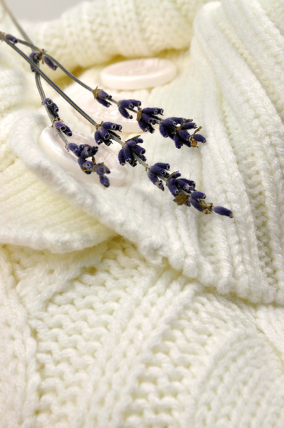 Pull tricoté lavande
 - Photo, image