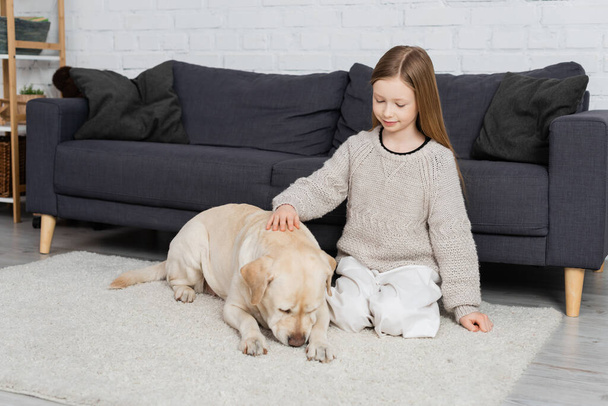 elégedett lány ül padlószőnyegen közel kanapé és simogató labrador kutya  - Fotó, kép