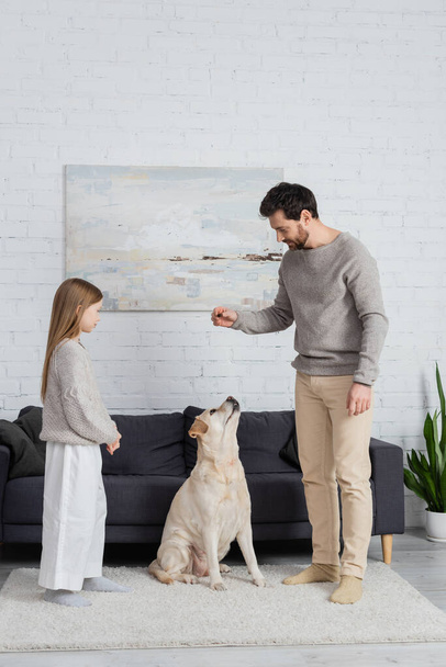 full length of father and daughter playing with labrador dog sitting on carpet near couch  - 写真・画像