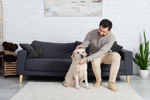 full length of happy bearded man sitting on couch in living room and petting labrador dog - Photo, image