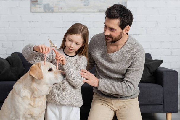 šťastná dívka nosí korunu hračky na hlavě labradora v blízkosti otce v obývacím pokoji  - Fotografie, Obrázek