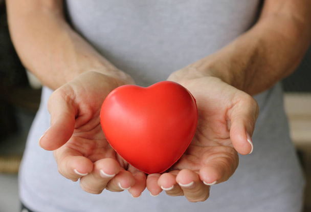Red heart on woman's hands. Giving life, blood donation, charitable foundation concepts - Foto, imagen