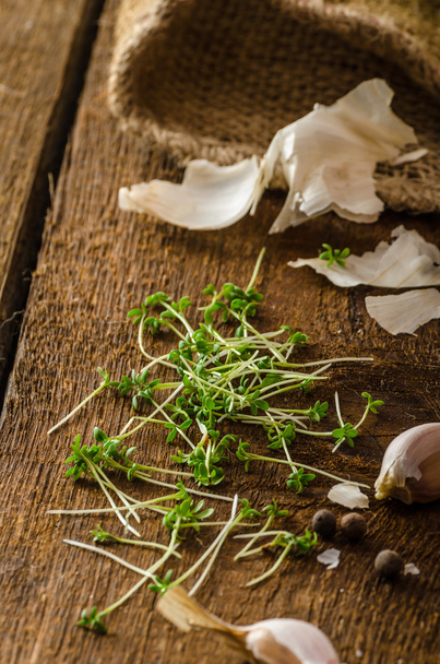 Domestic bio garlic - Czech, spices and fresh microgreens Domestic bio garlic - Photo, Image