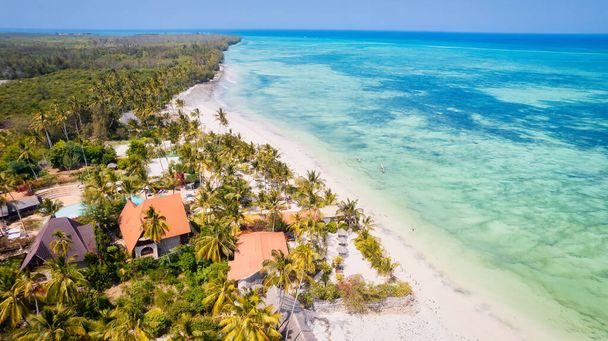 Wyrusz w podróż do rajskich lagun Zanzibaru, gdzie palmy i błękitny ocean spotykają się, by podziwiać zapierający dech w piersiach widok. - Zdjęcie, obraz