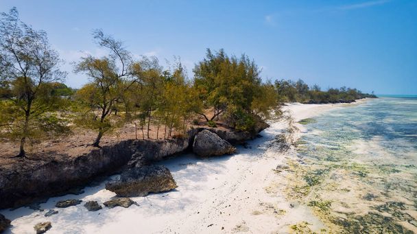 Wyrusz w podróż do rajskich lagun Zanzibaru, gdzie palmy i błękitny ocean spotykają się, by podziwiać zapierający dech w piersiach widok. - Zdjęcie, obraz