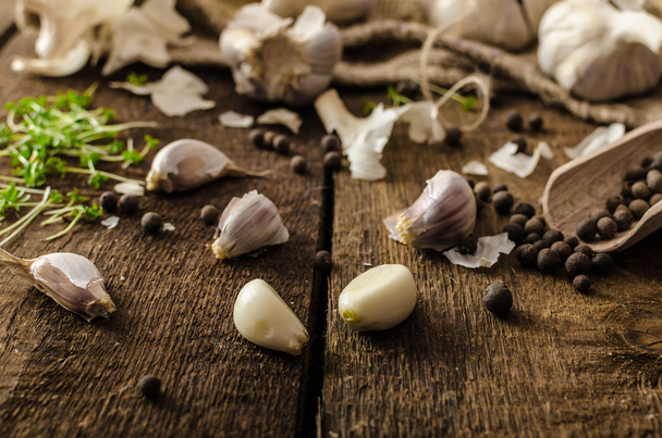 Domestic bio garlic - Czech, spices and fresh microgreens Domestic bio garlic - Foto, immagini