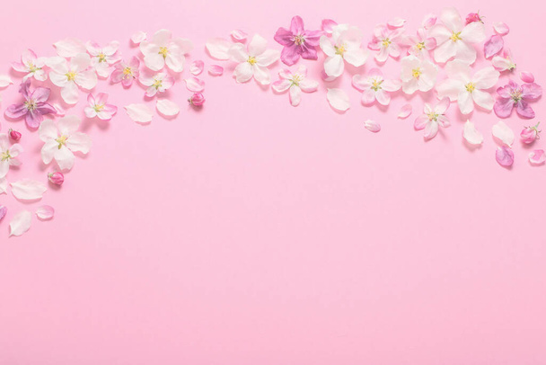 pink  apple flowers on pink background - Fotografie, Obrázek