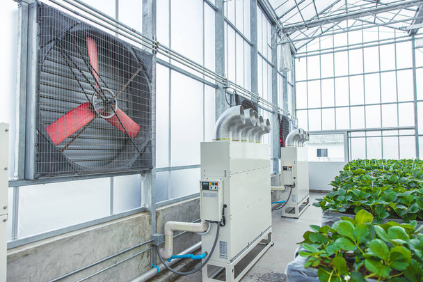 wewnętrzne szklarnia rolnictwo gospodarstwo powietrze wentylator chłodzenie wiatr przepływ rura temperatura rury system kontroli wilgotności do sadzenia - Zdjęcie, obraz