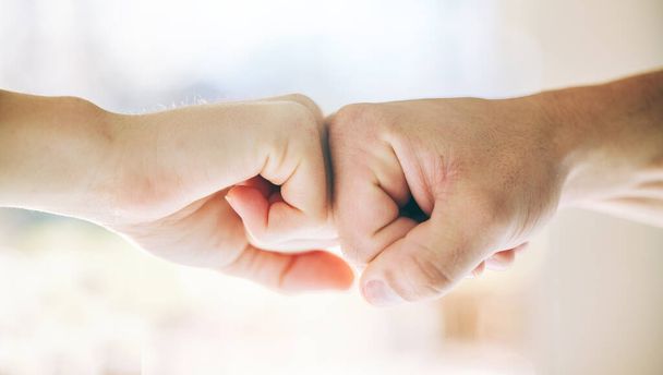 Fist bump, hands or support teamwork in gym for people in collaboration or solidarity trust. Agreement connection, partnership or friends greeting, thank you or motivation for success goal or targets. - Foto, immagini