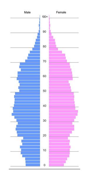 Vorlage Bevölkerungspyramide. Altersstrukturdiagramm isoliert auf weißem Hintergrund. Beispiel der Bevölkerungsverteilung nach Männern und Frauen mit Altersgruppen von 0 bis 100 Jahren. Vektorflache Illustration - Vektor, Bild