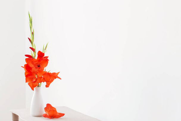 red gladiolus in vase on white background - Valokuva, kuva