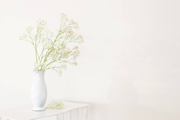 gypsophila in white vase on old wooden shelf on white background - Photo, image