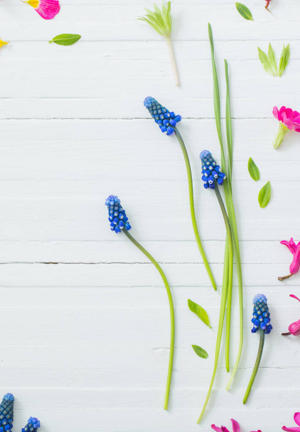 pink and blue spring flowers on white wooden background - Foto, imagen