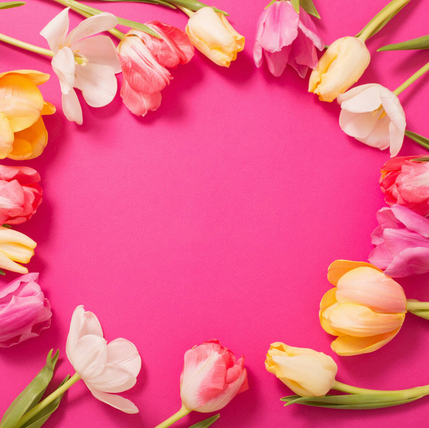 frame of tulips on pink background - Фото, зображення