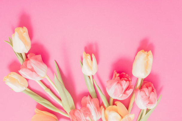 beautiful   tulips on pink   paper background  - Photo, image
