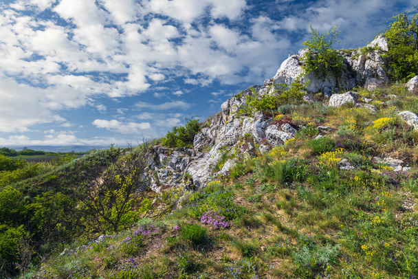Palava manzarası, Doğal Kaya Anıtı (Kocici skala), Güney Moravya, Çek Cumhuriyeti - Fotoğraf, Görsel