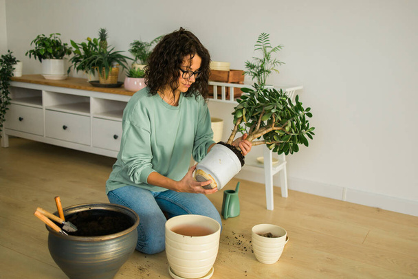 Woman gardener transplanting green plants in ceramic pots on the floor. Home garden and potted plants - Foto, imagen
