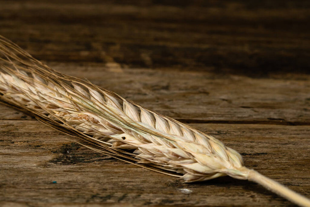 Orejas de trigo detalle. Cereales para forraje, producción de harina - Foto, imagen