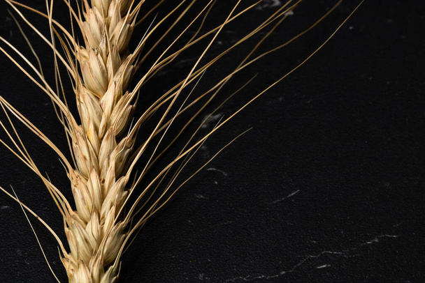 Wheat ears detail. Cereals for backery, flour production - 写真・画像