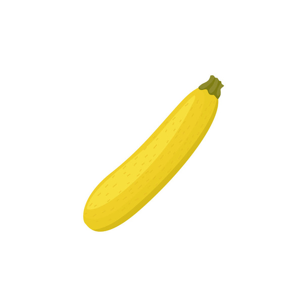 Straightneck squash,  yellow squash. Yellow summer squash. Vector illustration isolated on white background. For template label, packing, web, menu, logo, textile, icon - Vecteur, image