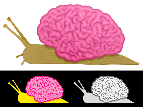 Slow thinking snail brain - Vector, Image