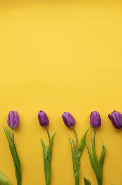 Frühling frische Tulpen auf gelbem Hintergrund für Muttertag, Valentinstag, Osterferien Postkarteneinladung. Leerzeichen kopieren.Foto oben. - Foto, Bild