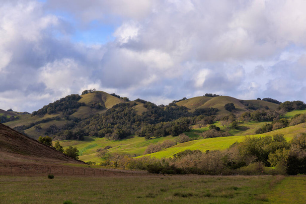 Sunlight on green rolling hills in Northern California landscape. High quality photo - Fotoğraf, Görsel
