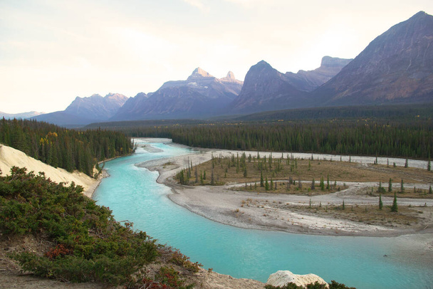 Scenic top view to the Athabasca river and the Rocky mountains and forests. Jasper national park, Alberta, Canada. - Foto, Imagem