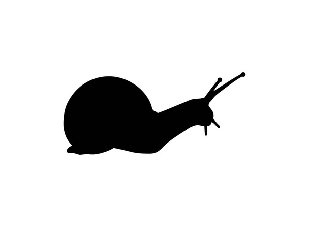 Snails are also called Escargot Silhouette for Logo, Art Illustration, Apps, Website or Graphic Design Element. Vector Illustration - Vector, afbeelding