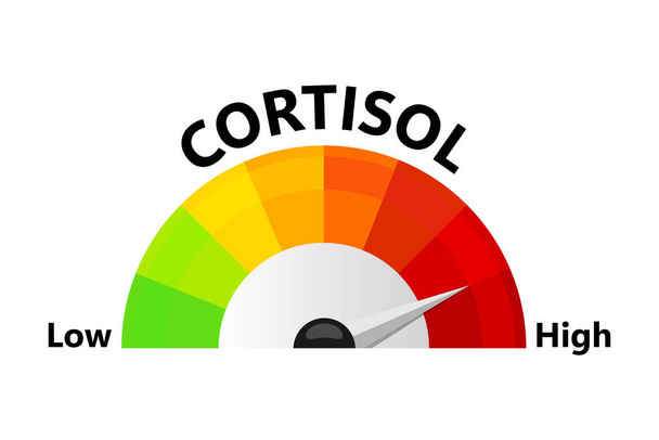 Flat cortisol level for medical design. Flat illustration. High blood glucose level - Vector, Image