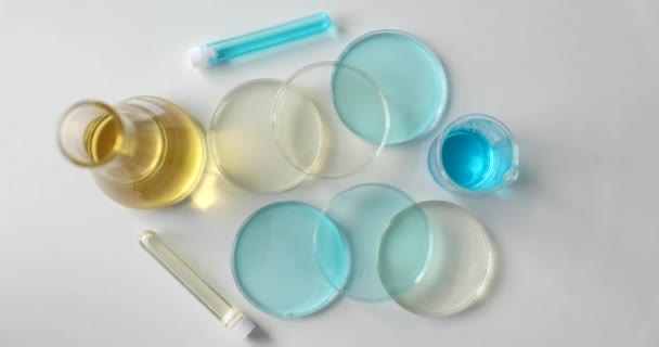Petri dish flasks with liquid and laboratory equipment for biochemical experiment. Chemistry and experiments in scientific biological and chemical laboratory - Filmati, video