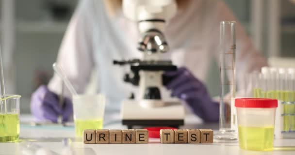 Doctor examines urine sample on microscope in laboratory. Microbiological studies of urine tests - Footage, Video