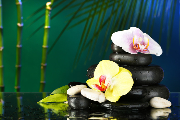 Orchid flowers with water drops and pebble stones on dark colorful background - Fotografie, Obrázek