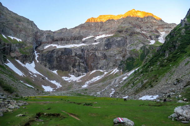 Панорамный вид на Альпы, частично еще покрытые снегом. Весна медленно достигает самых высоких частей гор. Острые вершины, склоны, покрытые пышными зелеными растениями. - Фото, изображение