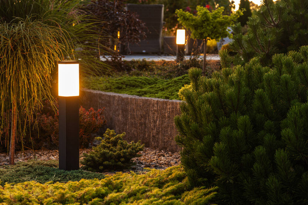 Освітлення саду Back Yard, використовуючи зовнішнє світлодіодне освітлення. Універсальні та архітектурні технології. - Фото, зображення