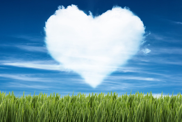 Πράσινο φόντο με μπλε ουρανό με σχήμα καρδιάς σε αυτό - Φωτογραφία, εικόνα
