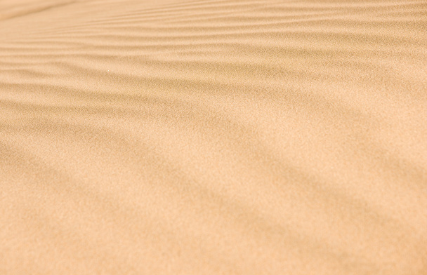 Desert sand - Foto, Bild