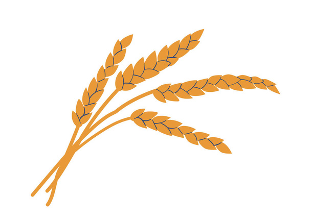 Golden Cereal Stalks with Grains. Ripe Stem of Wheat Ears or Rye Ready To Be Harvested Isolated on White Background. Rustic Natural Agricultural Plant, Product Crop. Cartoon Vector Illustration - Vector, afbeelding