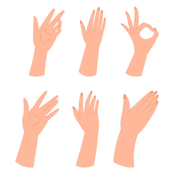 Ensemble de mains faisant différents gestes, bras montrant le signe correct, agitant la paume ouverte, signalant quelque chose au téléspectateur, main féminine transmettant le message de salutation ou d'avertissement. Illustration vectorielle des personnages de bande dessinée - Vecteur, image