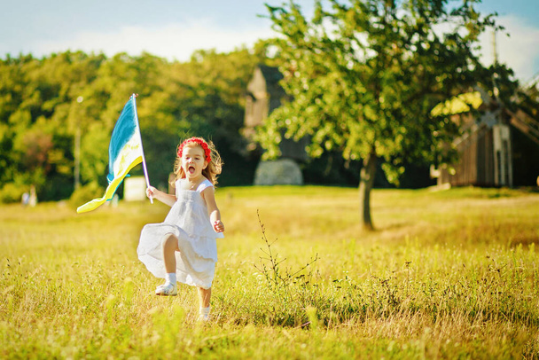 Flag Ukraine in hand little girl in wreath of red poppies. Child carries fluttering blue and yellow flag of Ukraine against background of mills in Pirogovo. - Photo, Image
