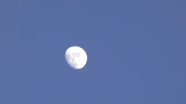 曇りの夜に満月のリアルタイム ショット - 映像、動画