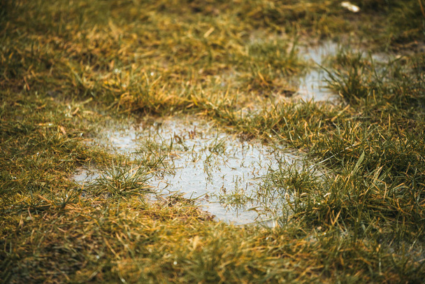 Problemas de drenaje y alcantarillado. El suelo hidrofóbico y seco apenas absorbe agua. Agua estancada en el patio - Foto, Imagen