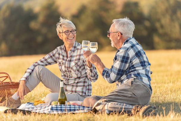 senior couple having picnic in mountains - Foto, Imagen